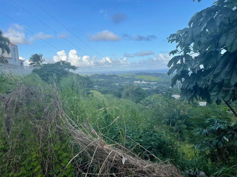 3 CANDELERO #1 Humacao, PR 00791
