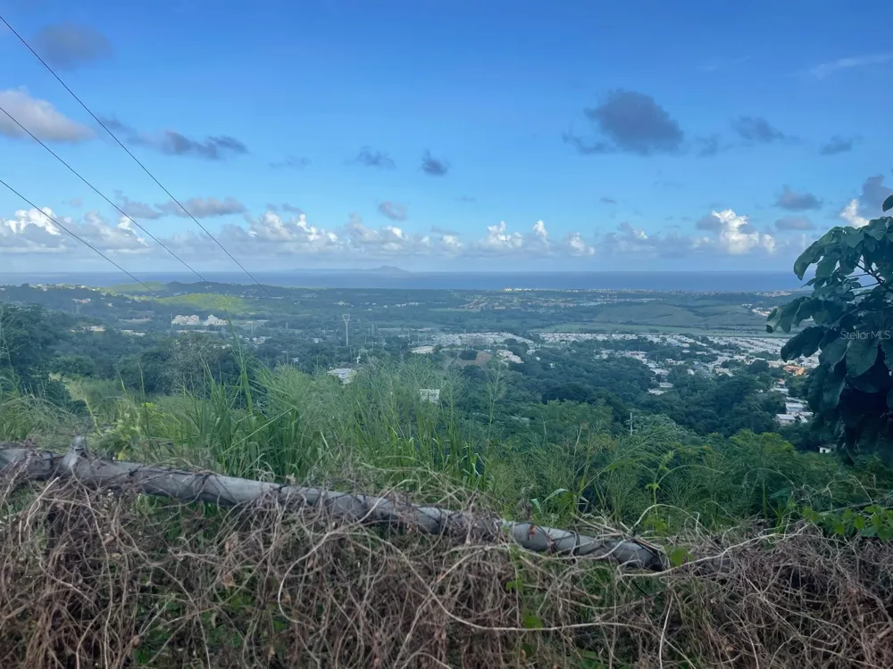 3 CANDELERO #1 Humacao, PR 00791