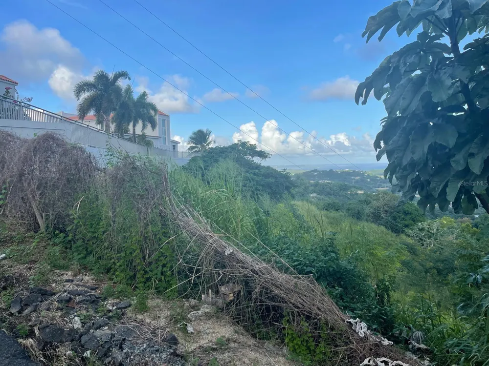 3 CANDELERO #1 Humacao, PR 00791