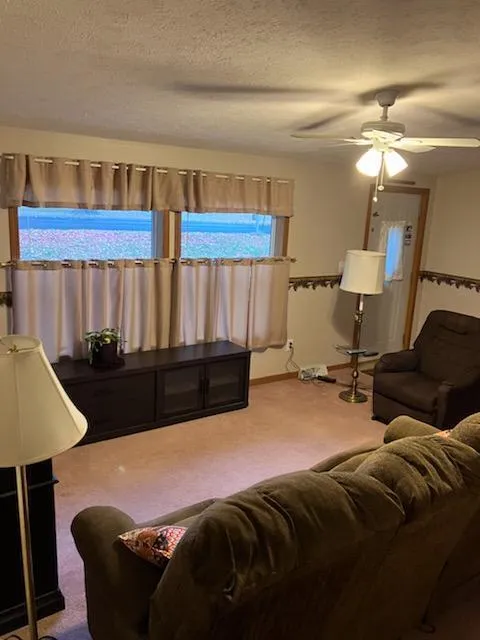 6620 Potter Road Bear Lake Township, MI 49614