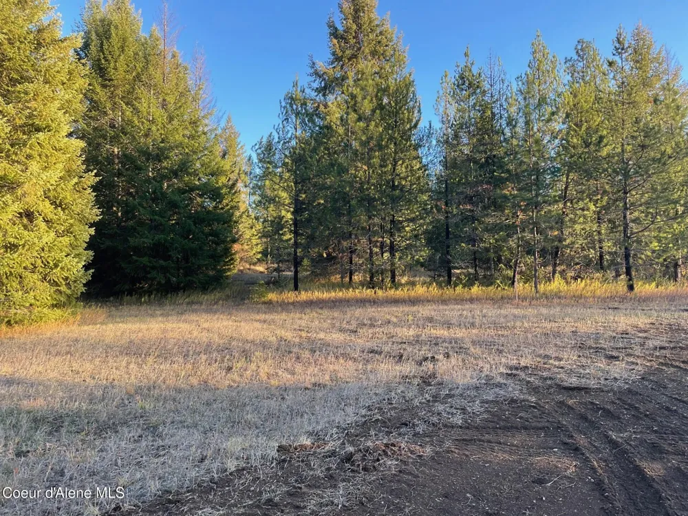 NKA Hope Valley Road 5 acres Rathdrum, ID 83858