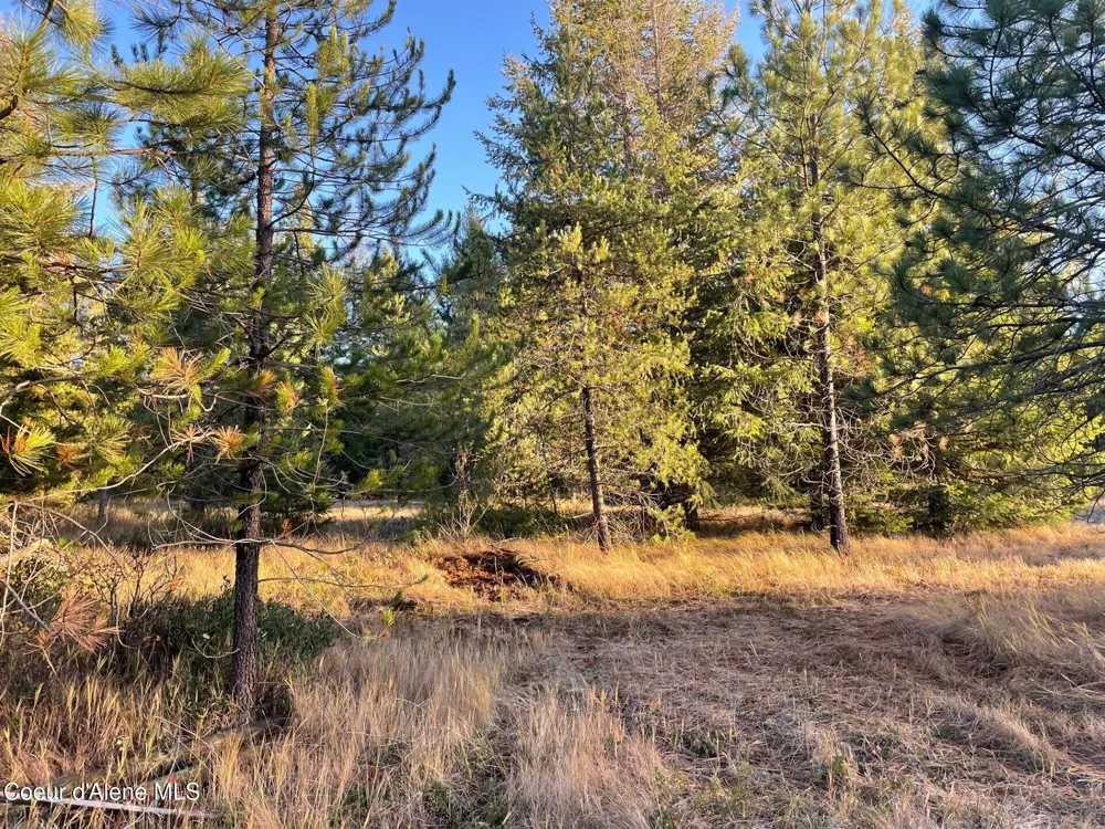 NKA Hope Valley Road 5 acres Rathdrum, ID 83858