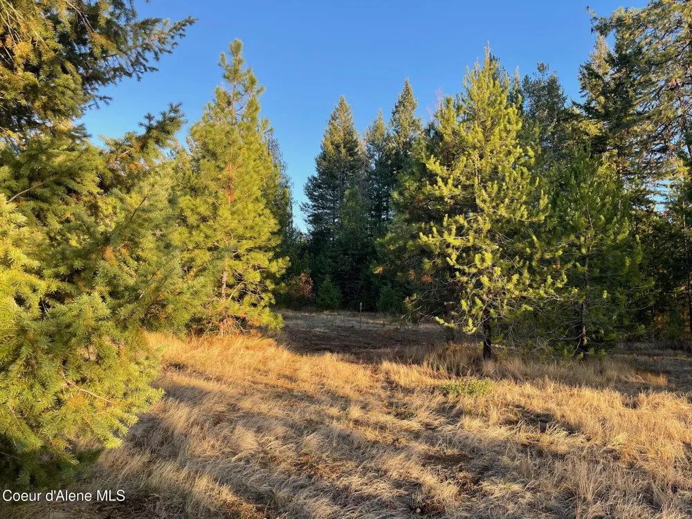 NKA Hope Valley Road 5 acres Rathdrum, ID 83858