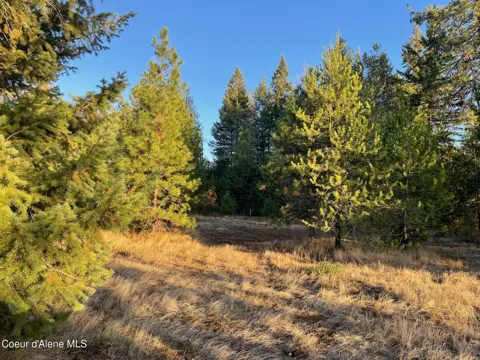 NKA Hope Valley Road 5 acres