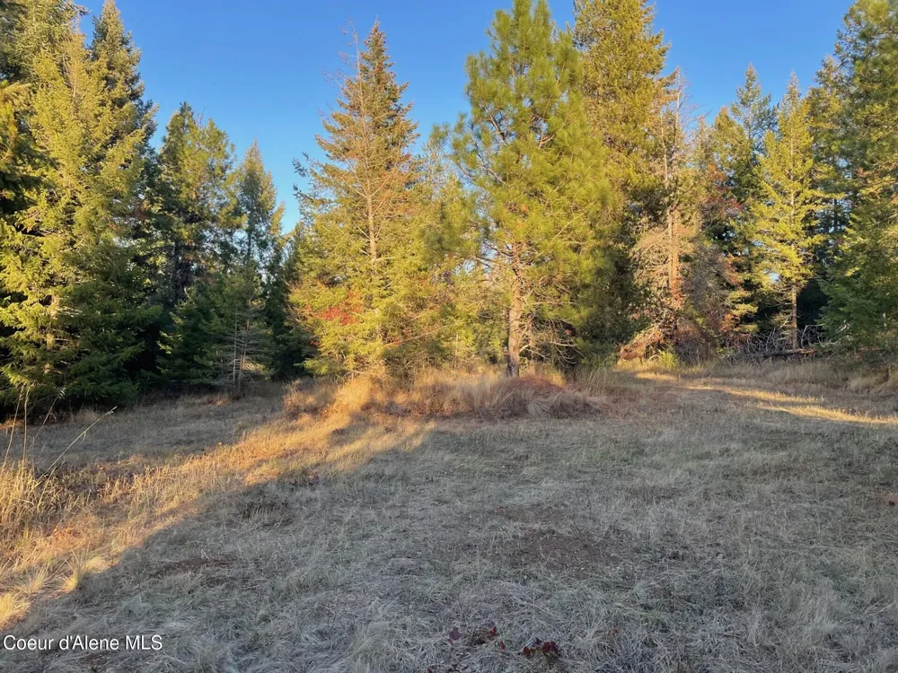 NKA Hope Valley Road 5 acres Rathdrum, ID 83858