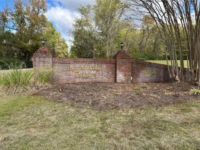 9 SUZY CV Savannah, TN 38372
