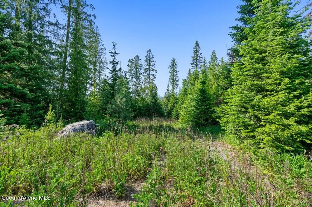 929 Irish Rd Sagle, ID 83860