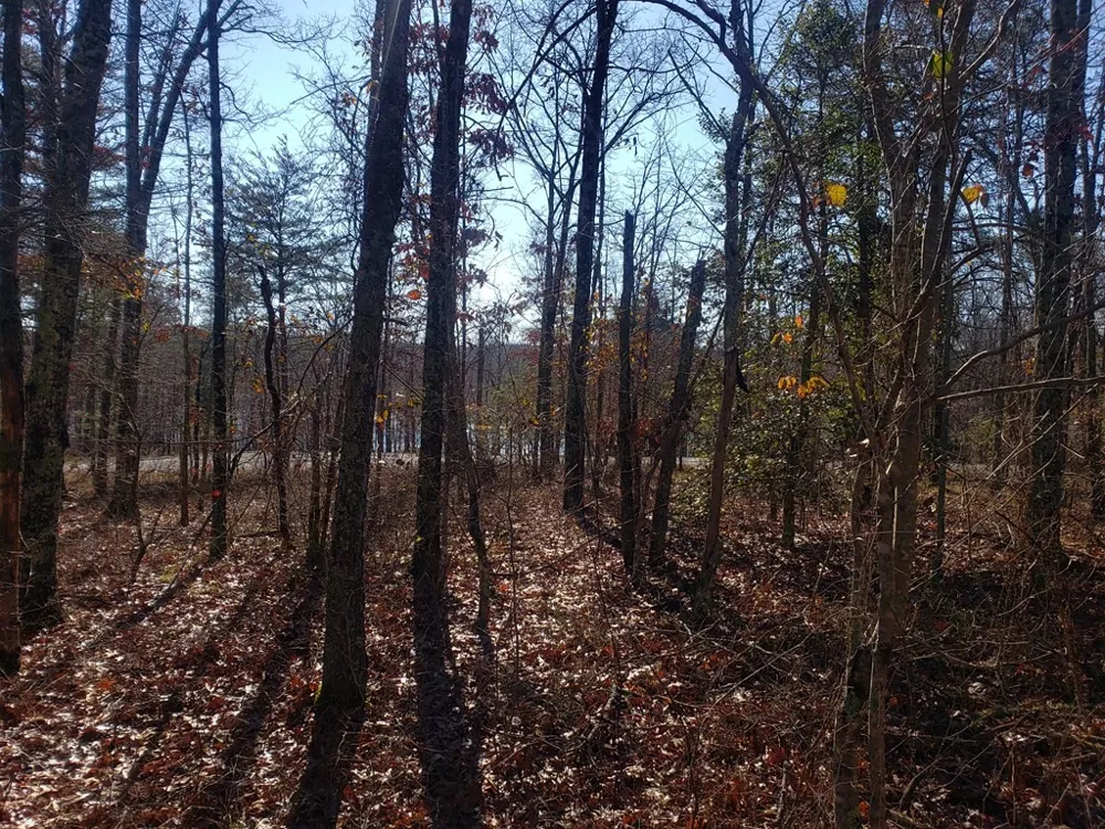 44 Hemlock Ln Spencer, TN 38585
