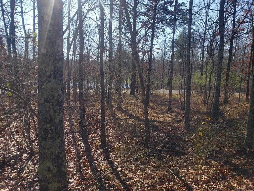 44 Hemlock Ln Spencer, TN 38585