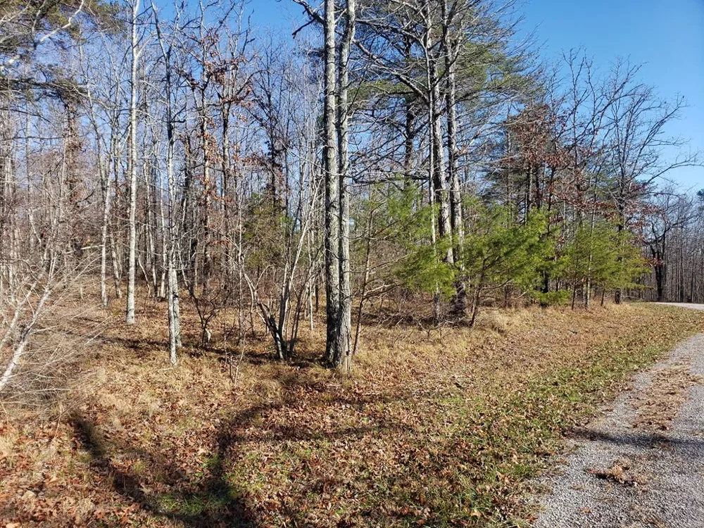 44 Hemlock Ln Spencer, TN 38585