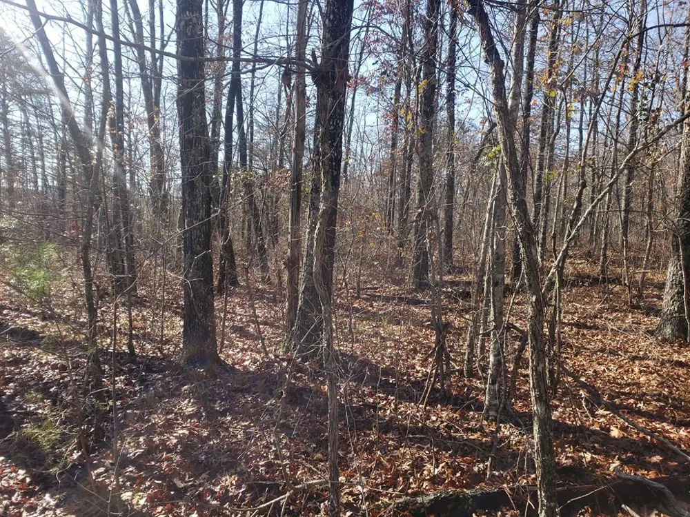 44 Hemlock Ln Spencer, TN 38585