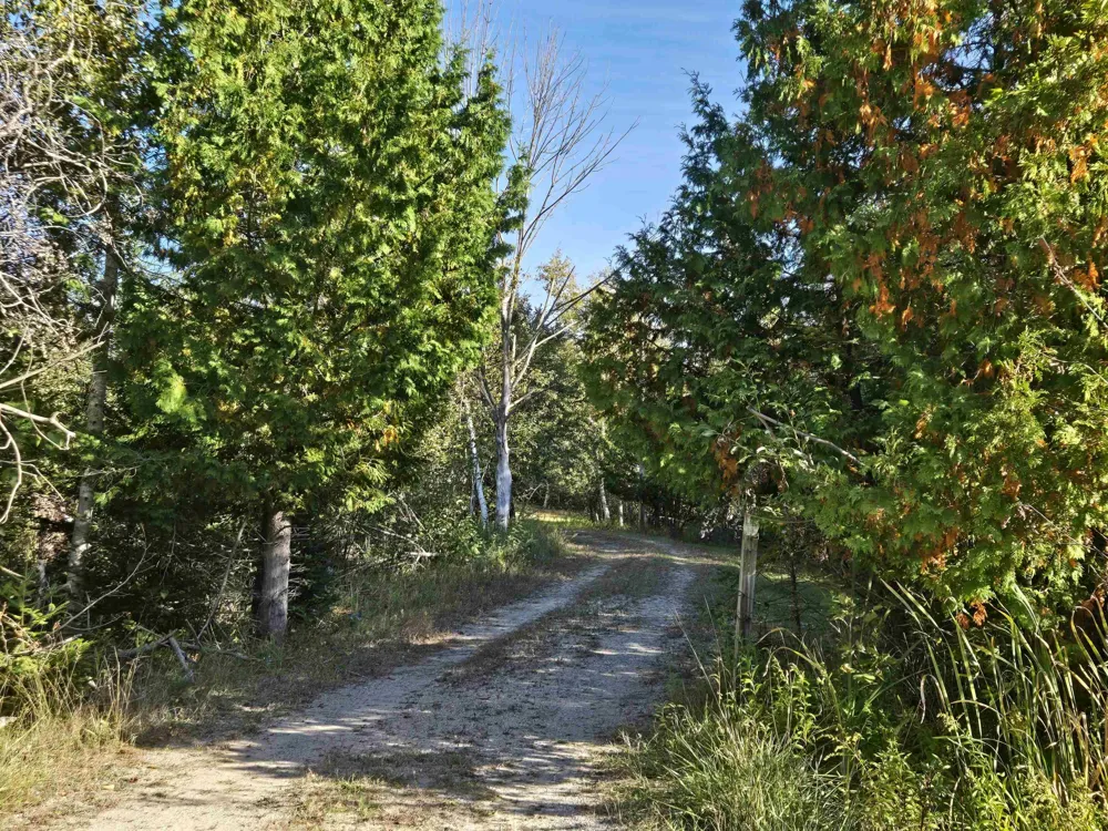 5971 E Point Road Haynes Township, MI 48740