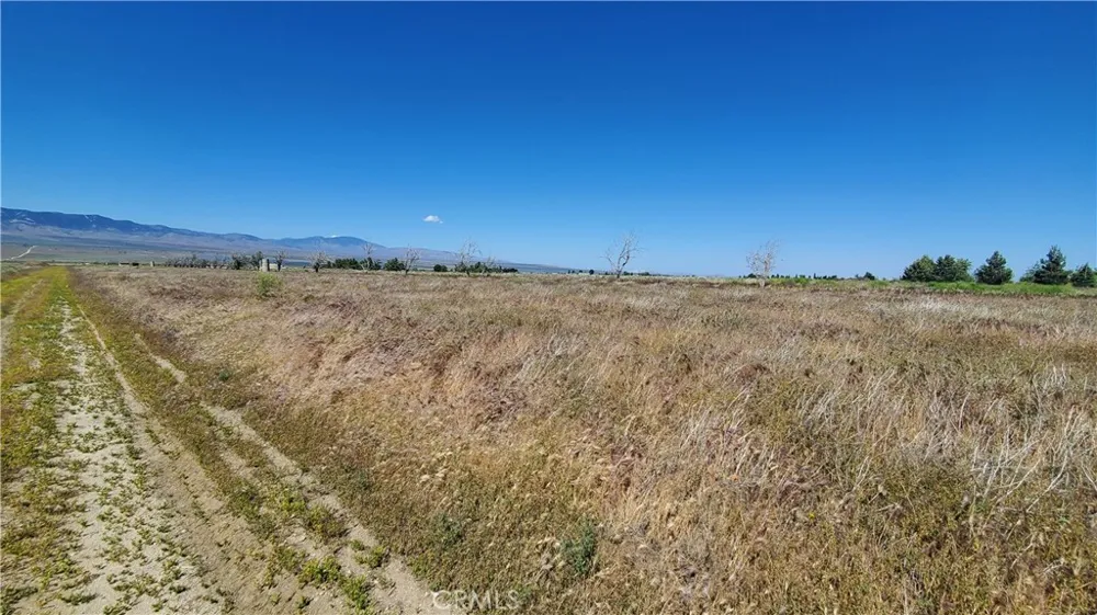 263rd St West north of Ave C13 Fairmont, CA 93536