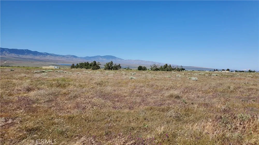 263rd St West north of Ave C13 Fairmont, CA 93536