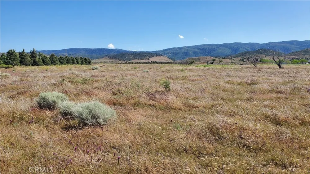 263rd St West north of Ave C13 Fairmont, CA 93536