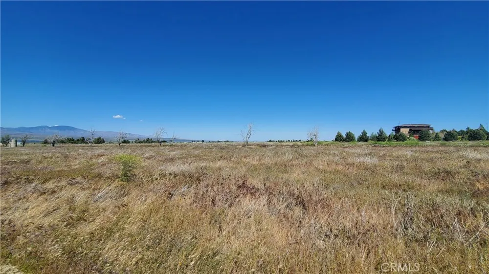 263rd St West north of Ave C13 Fairmont, CA 93536