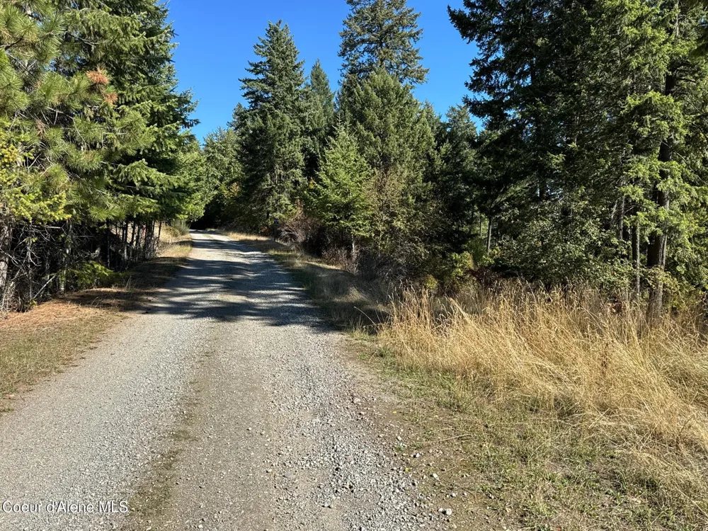 L21 & L22 TERRACE DRIVE Bayview, ID 83803