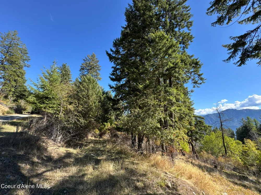 L21 & L22 TERRACE DRIVE Bayview, ID 83803