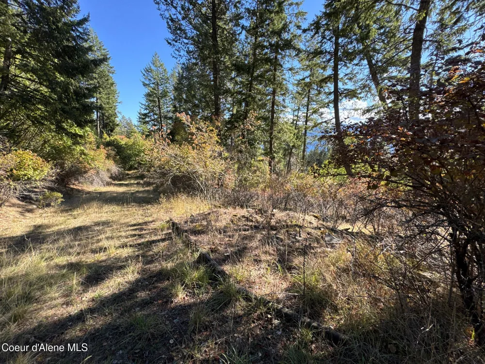 L21 & L22 TERRACE DRIVE Bayview, ID 83803