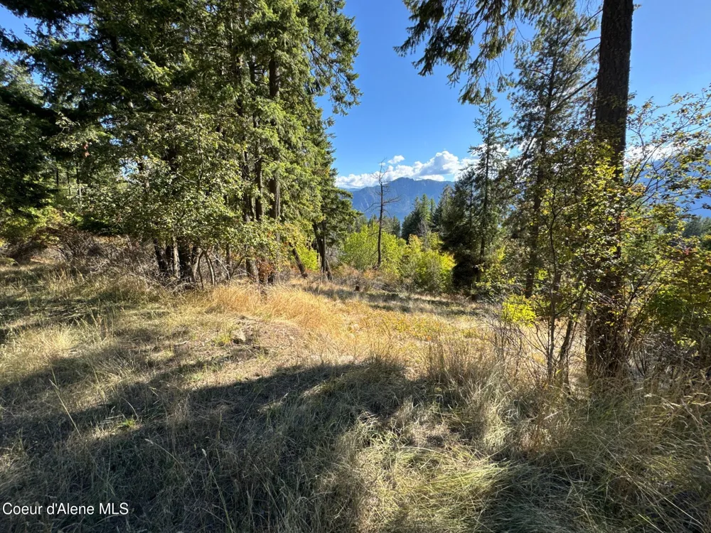 L21 & L22 TERRACE DRIVE Bayview, ID 83803