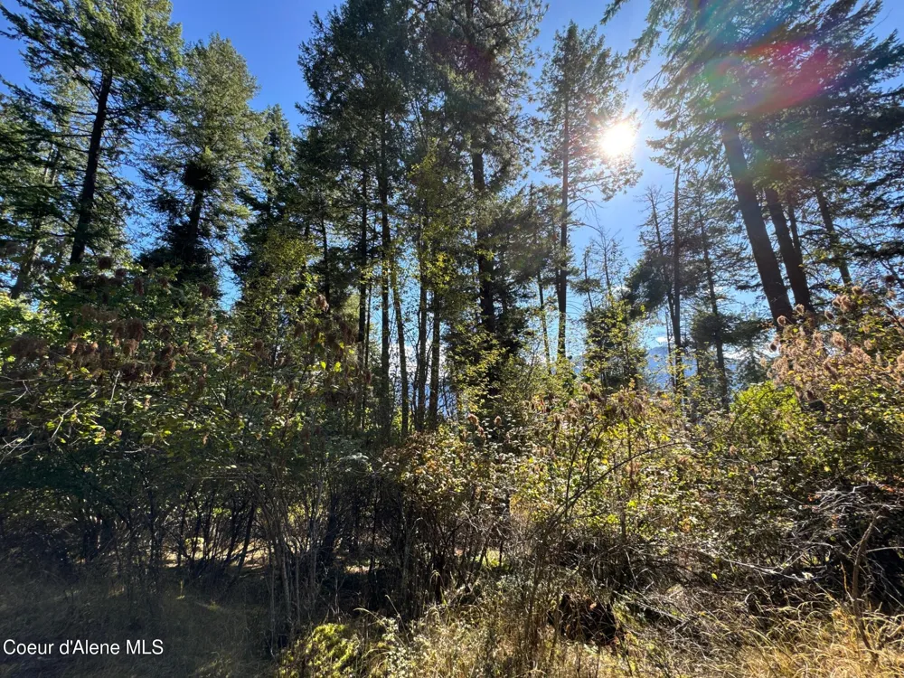 L21 & L22 TERRACE DRIVE Bayview, ID 83803