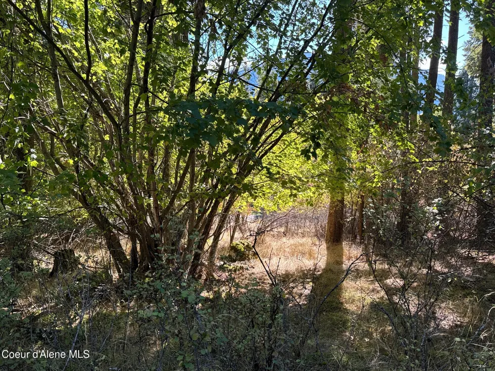 L21 & L22 TERRACE DRIVE Bayview, ID 83803