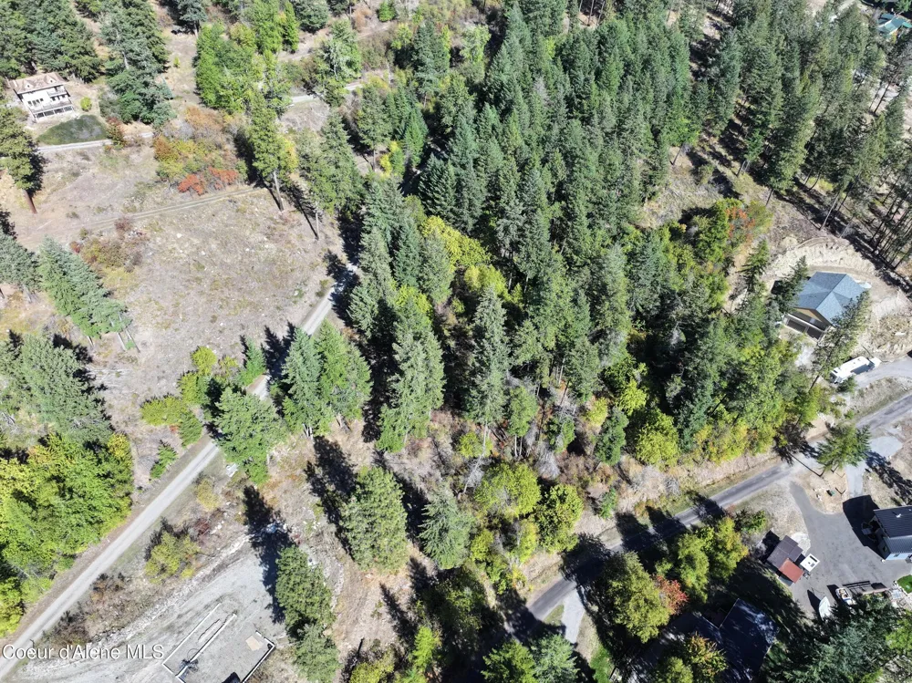 L21 & L22 TERRACE DRIVE Bayview, ID 83803