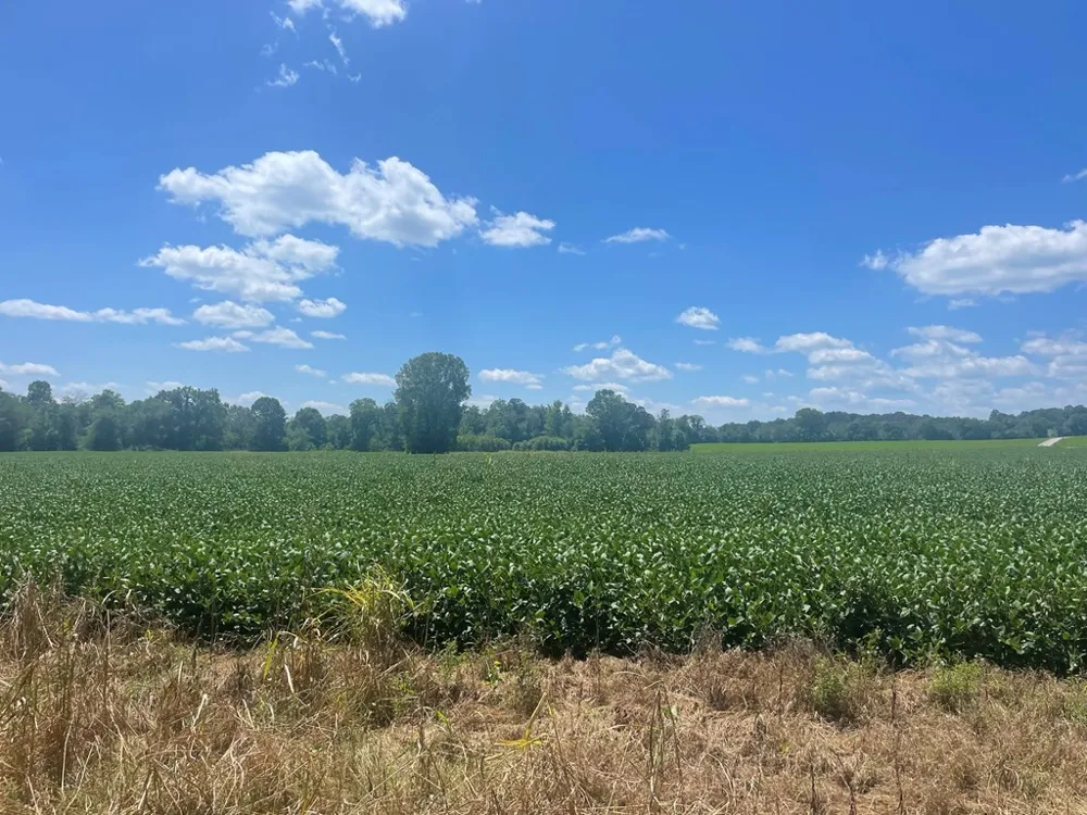 0 Ditty Road Cookeville, TN 38506