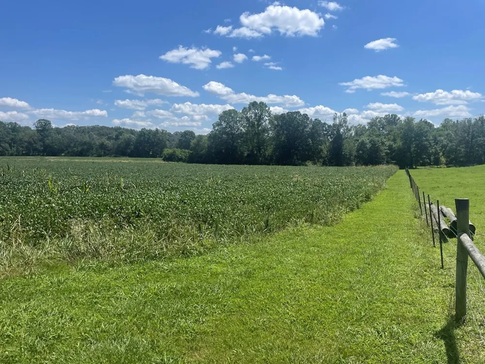 0 Ditty Road Cookeville, TN 38506