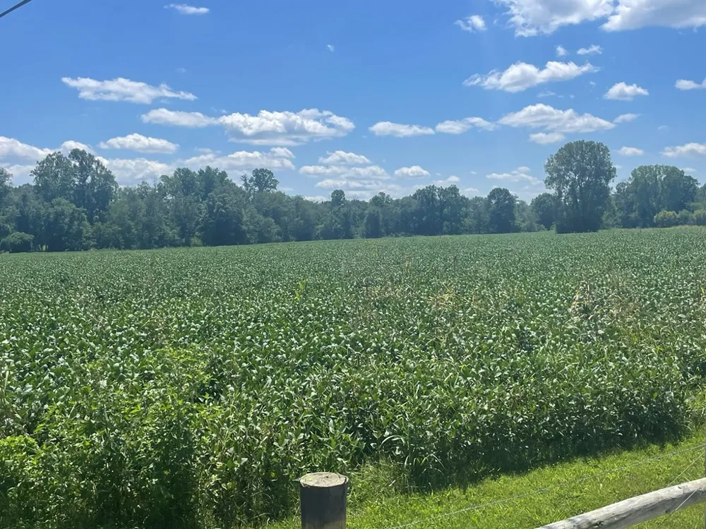 0 Ditty Road Cookeville, TN 38506