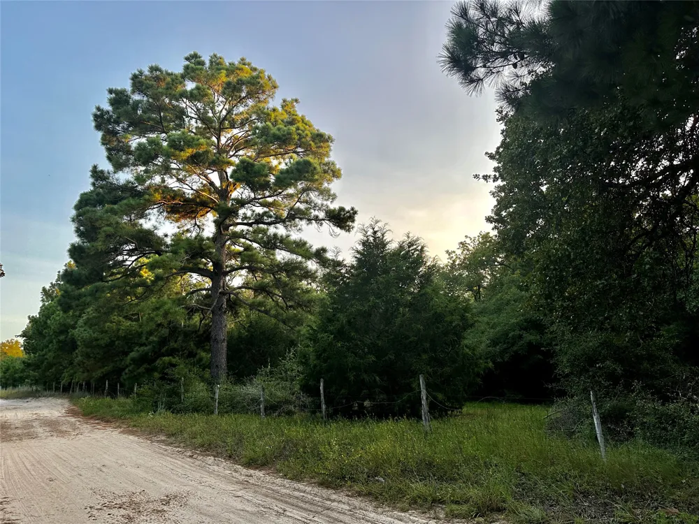 Private Road 4361 Dime Box, TX 77853