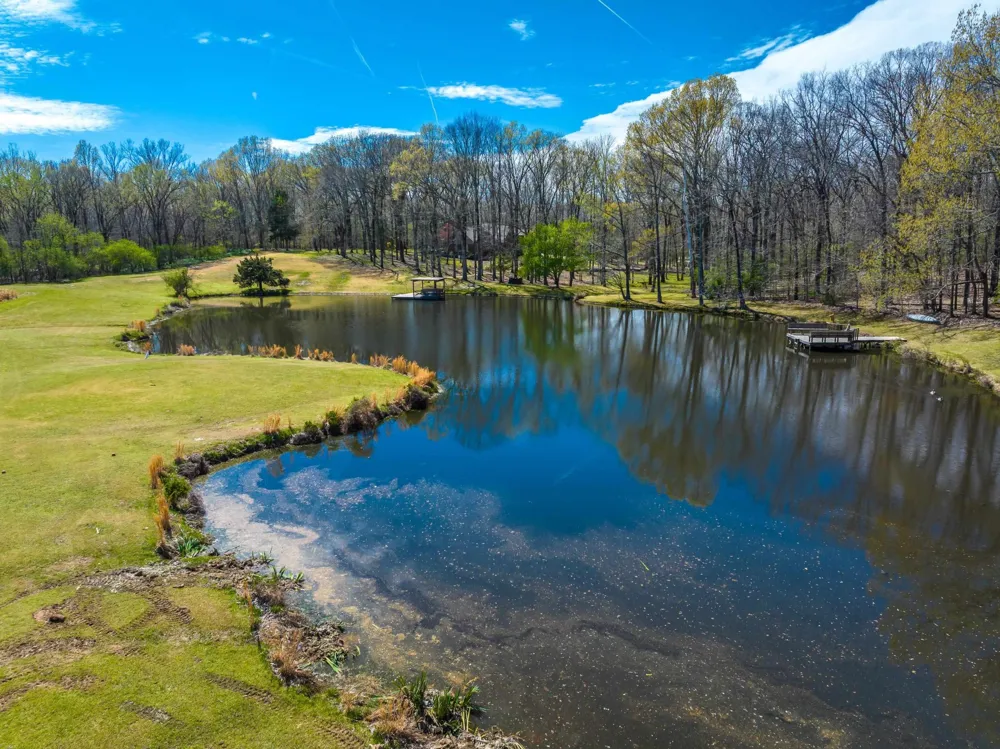 0 ROCKY CANNON RD Cordova, TN 38018
