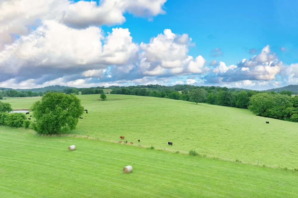 4 Deshea Creek Rd Gallatin, TN 37066