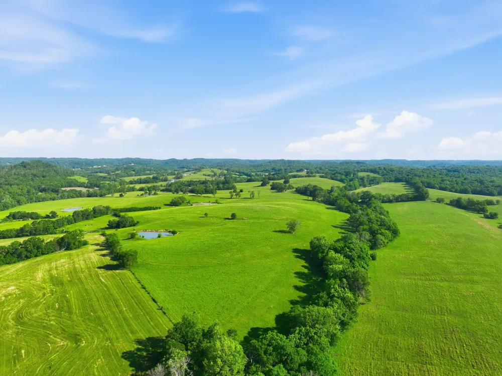 3 Deshea Creek Rd Gallatin, TN 37066