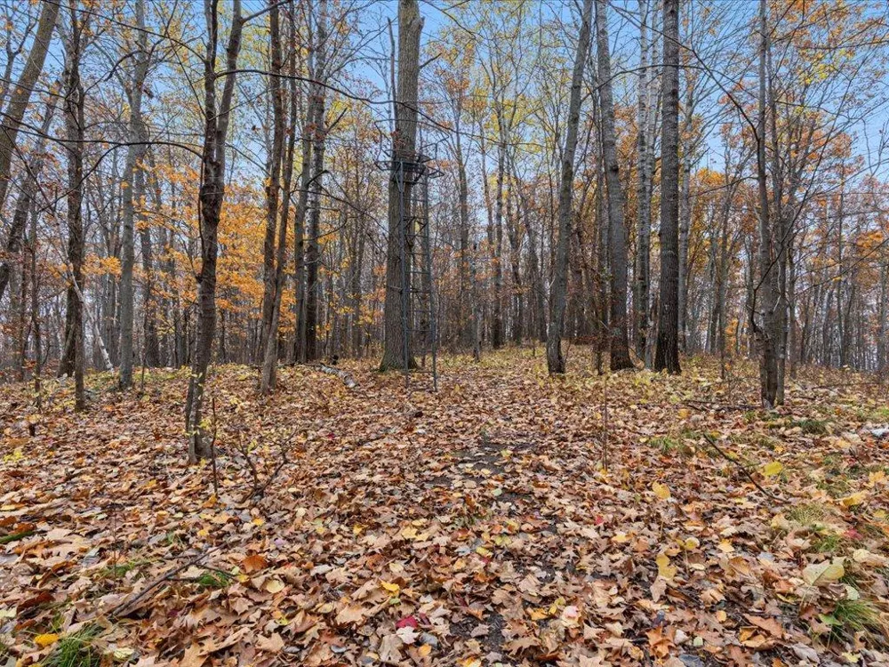 3918 44th Street SW Pine River, MN 56474