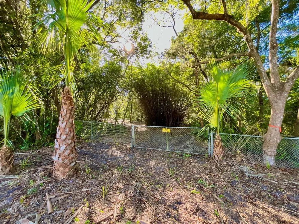 TROUT STREET Melrose, FL 32666