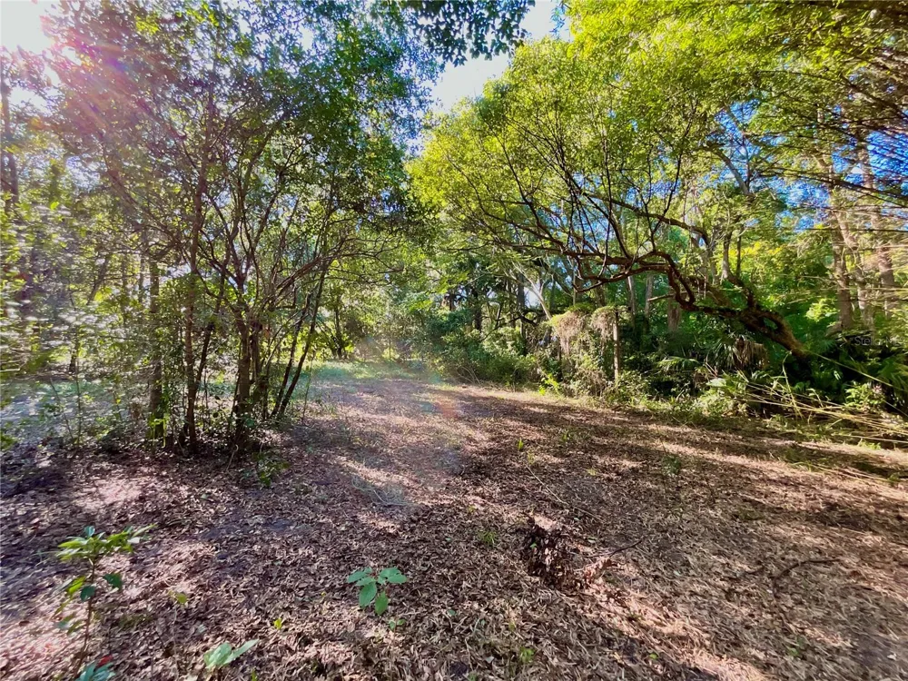 TROUT STREET Melrose, FL 32666