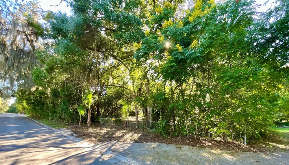 TROUT STREET Melrose, FL 32666