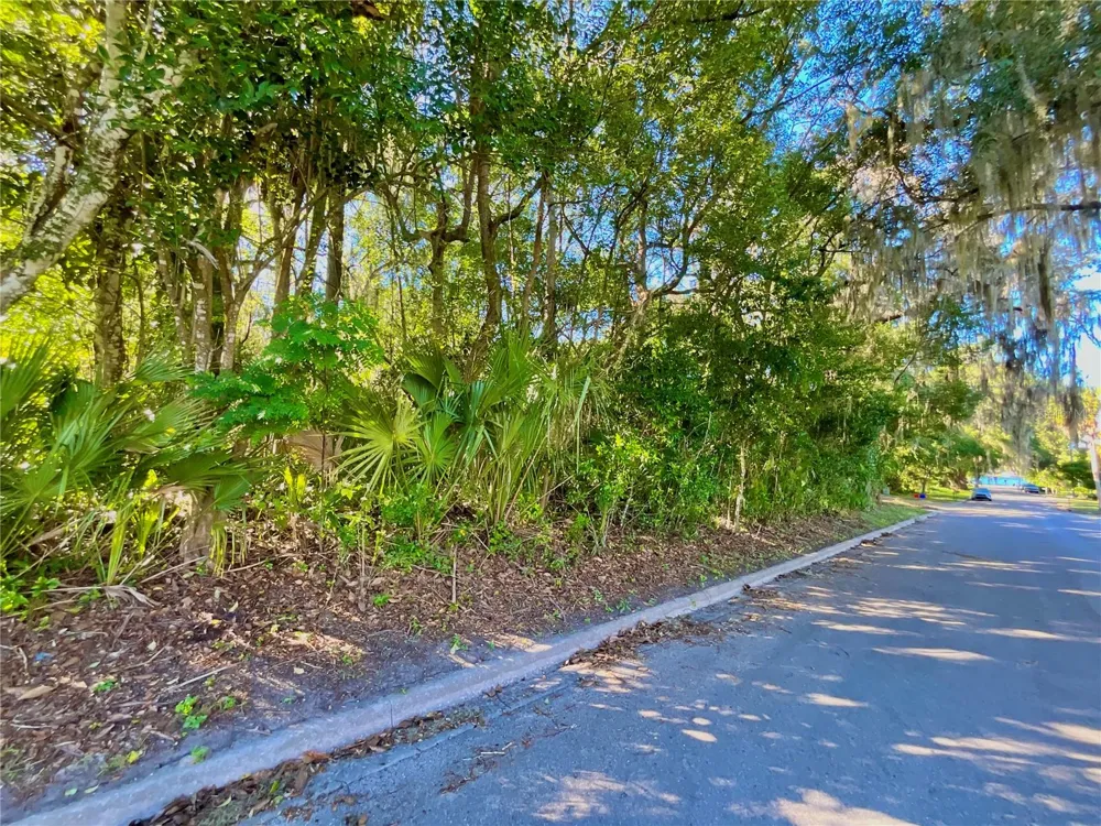 TROUT STREET Melrose, FL 32666