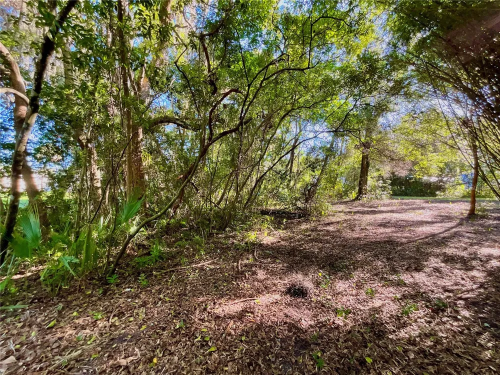 TROUT STREET Melrose, FL 32666