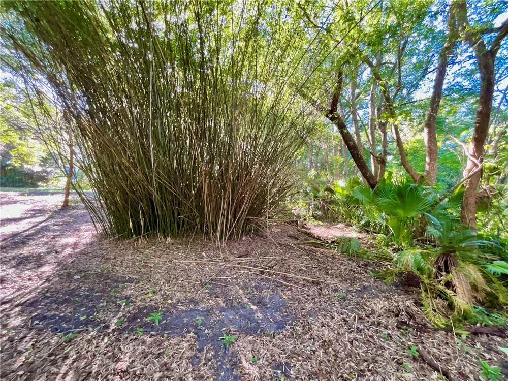 TROUT STREET Melrose, FL 32666