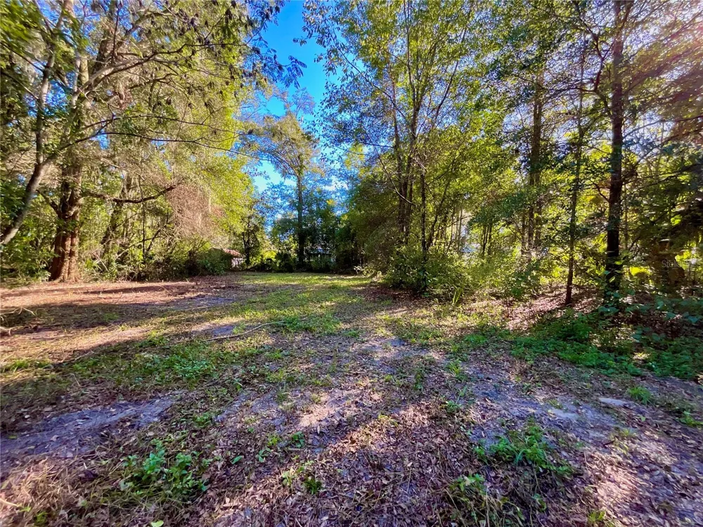 TROUT STREET Melrose, FL 32666