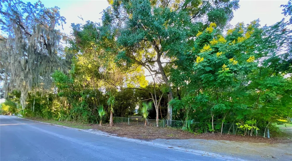 TROUT STREET Melrose, FL 32666