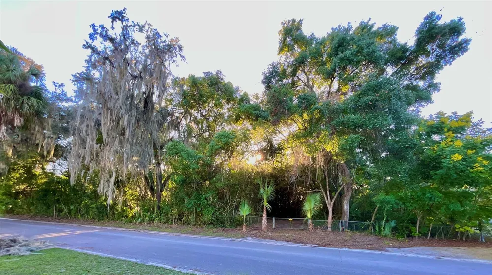 TROUT STREET Melrose, FL 32666