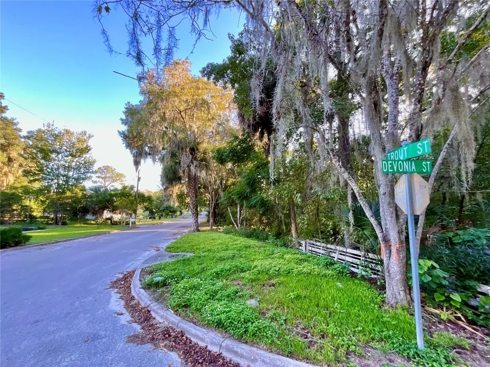 TROUT STREET Melrose, FL 32666