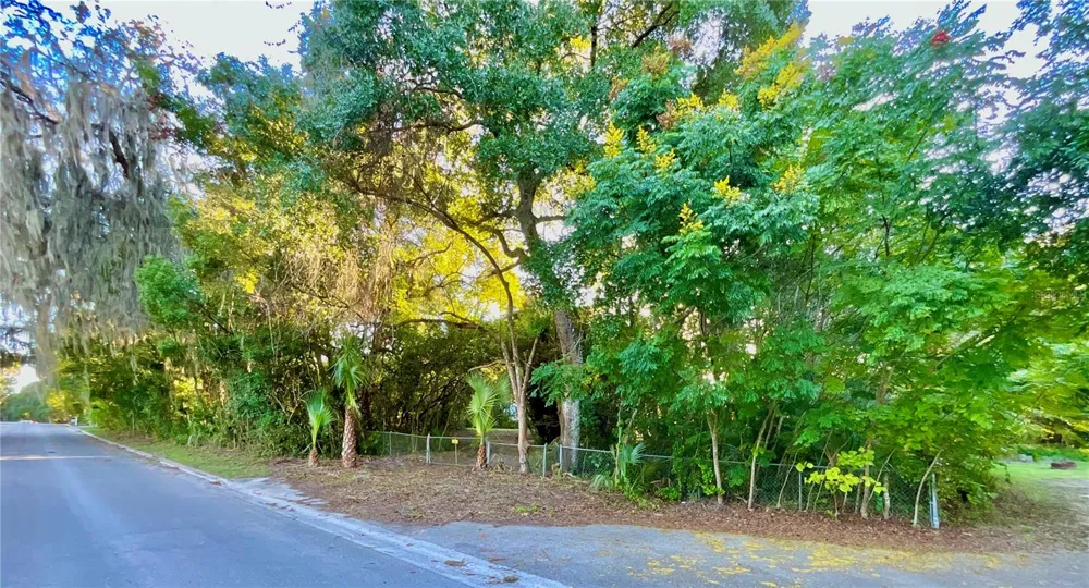 TROUT STREET Melrose, FL 32666