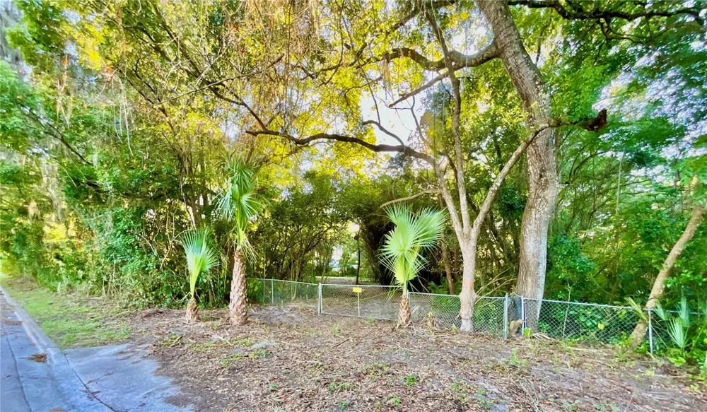 TROUT STREET Melrose, FL 32666