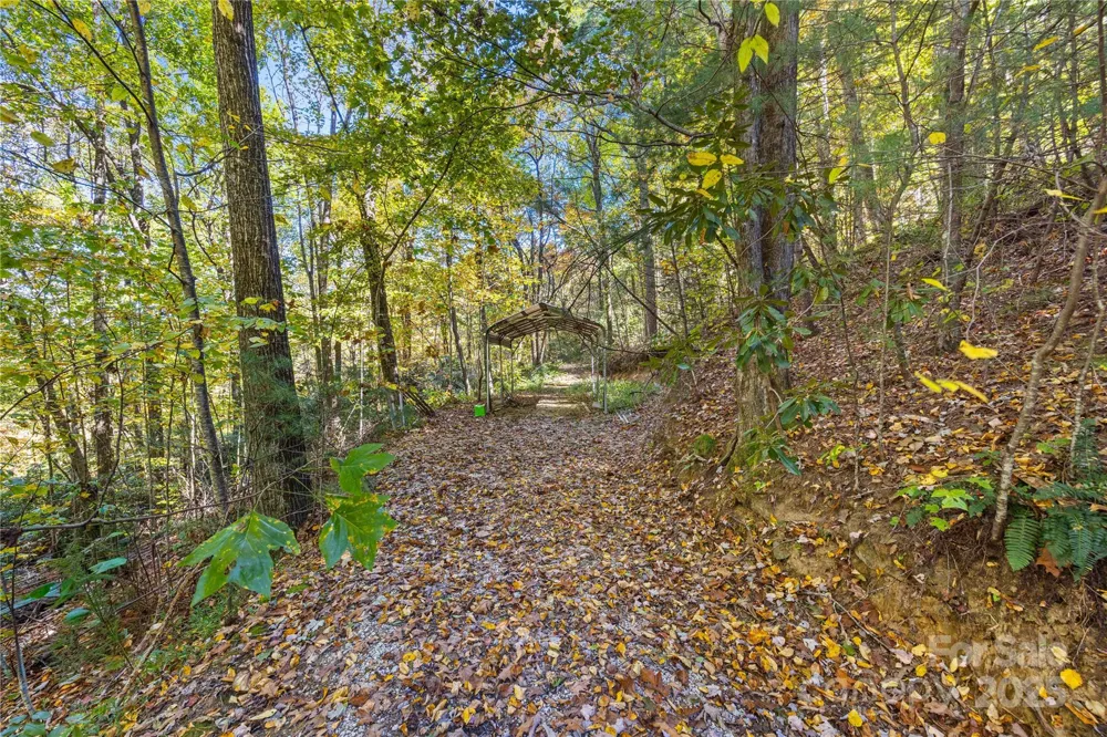 1308 Bell Mountain Road Zirconia, NC 28790