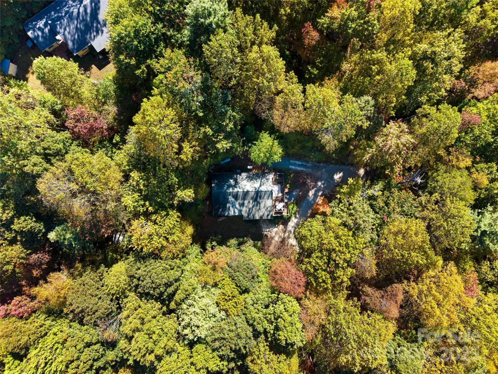 1308 Bell Mountain Road Zirconia, NC 28790