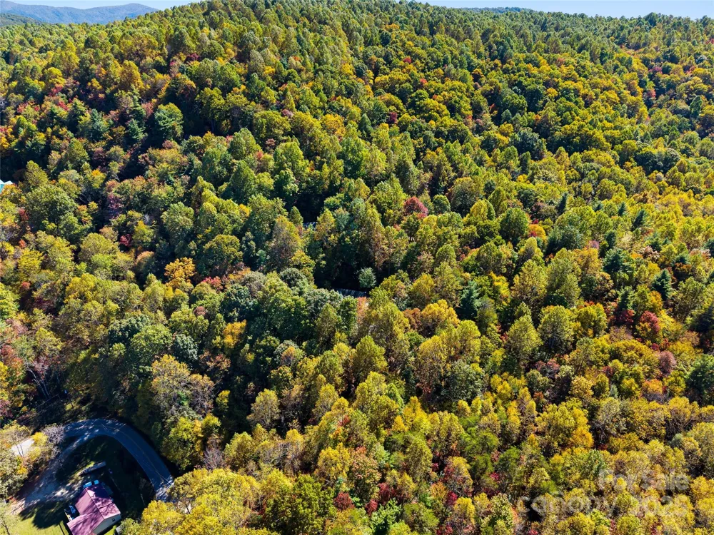1308 Bell Mountain Road Zirconia, NC 28790